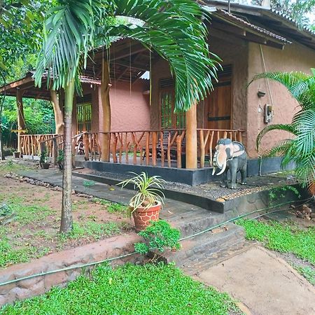 Green Park Safari House & Eco Tree House 达瓦拉维 外观 照片