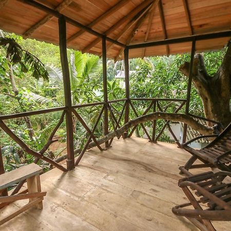 Green Park Safari House & Eco Tree House 达瓦拉维 外观 照片