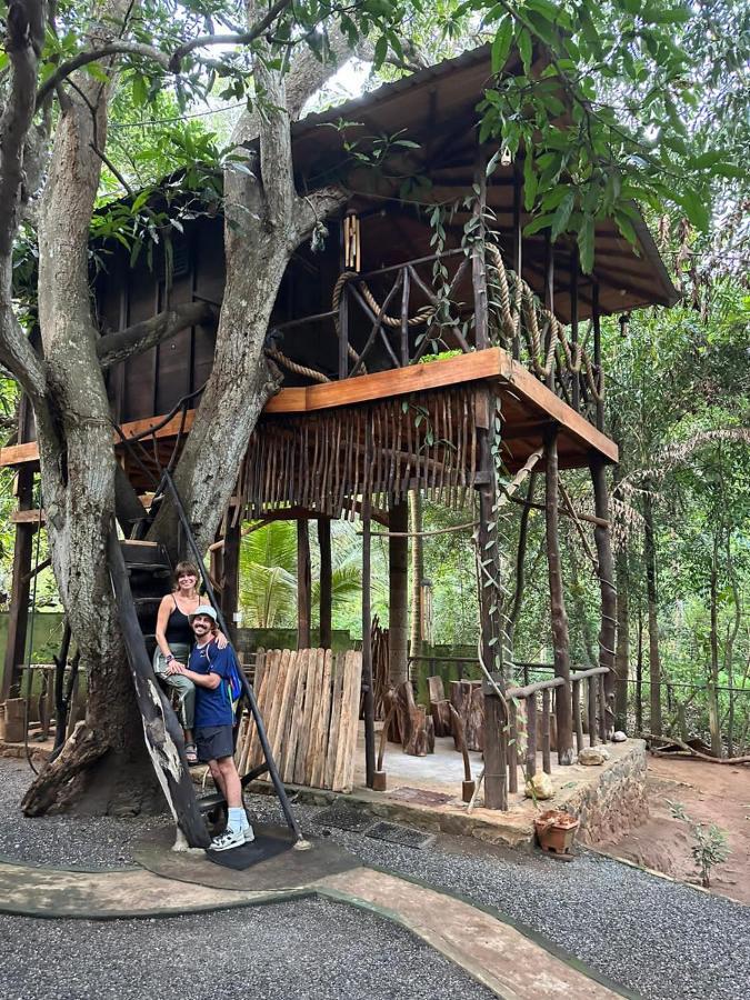 Green Park Safari House & Eco Tree House 达瓦拉维 外观 照片