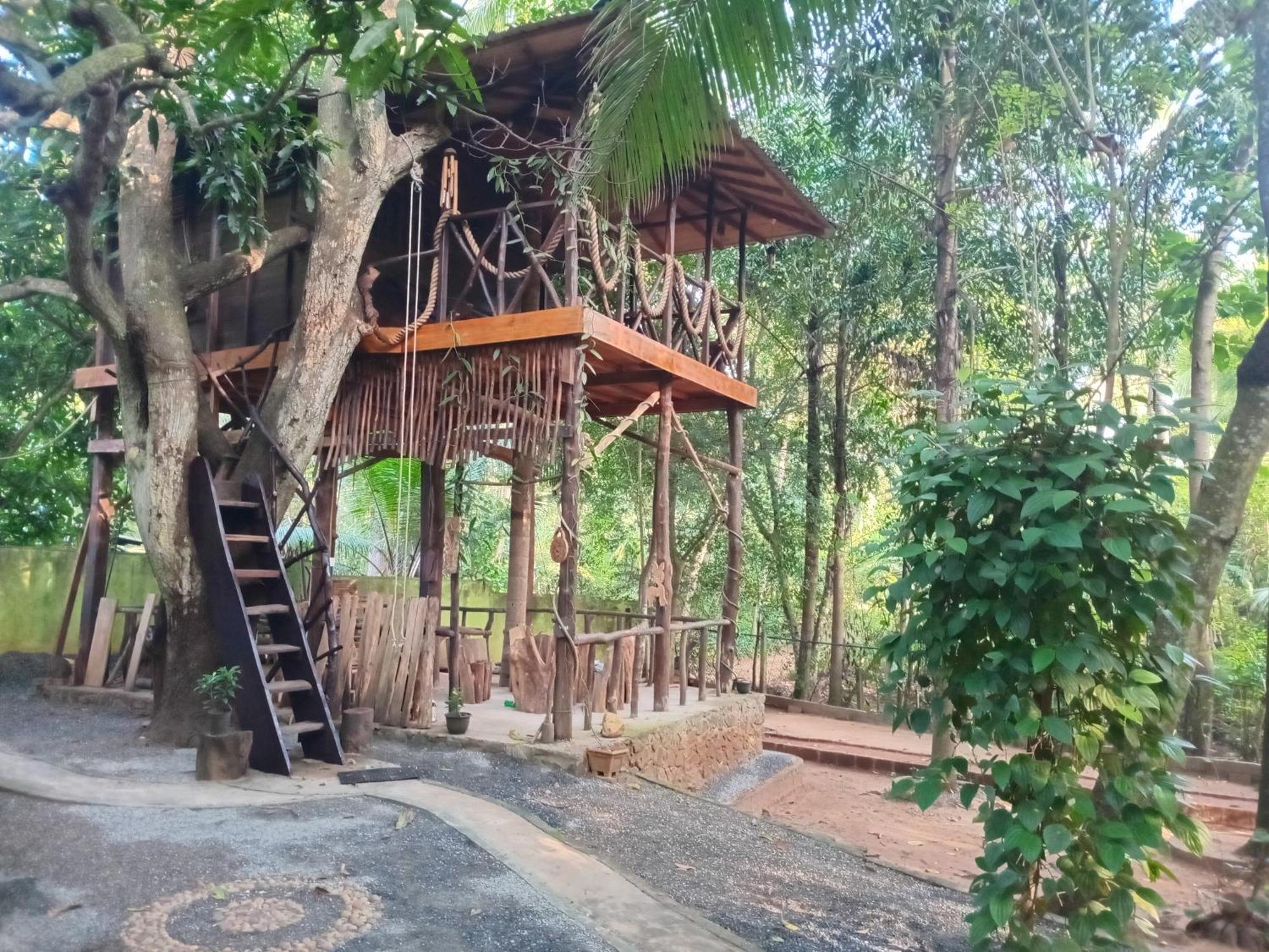 Green Park Safari House & Eco Tree House 达瓦拉维 外观 照片