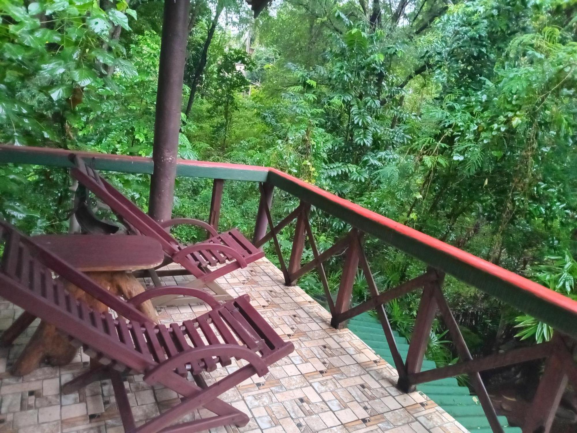 Green Park Safari House & Eco Tree House 达瓦拉维 外观 照片