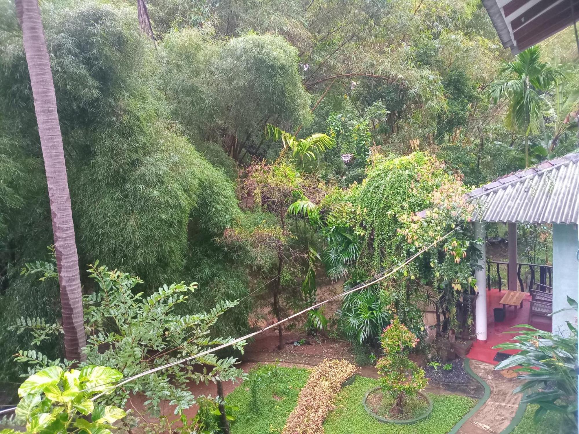 Green Park Safari House & Eco Tree House 达瓦拉维 外观 照片