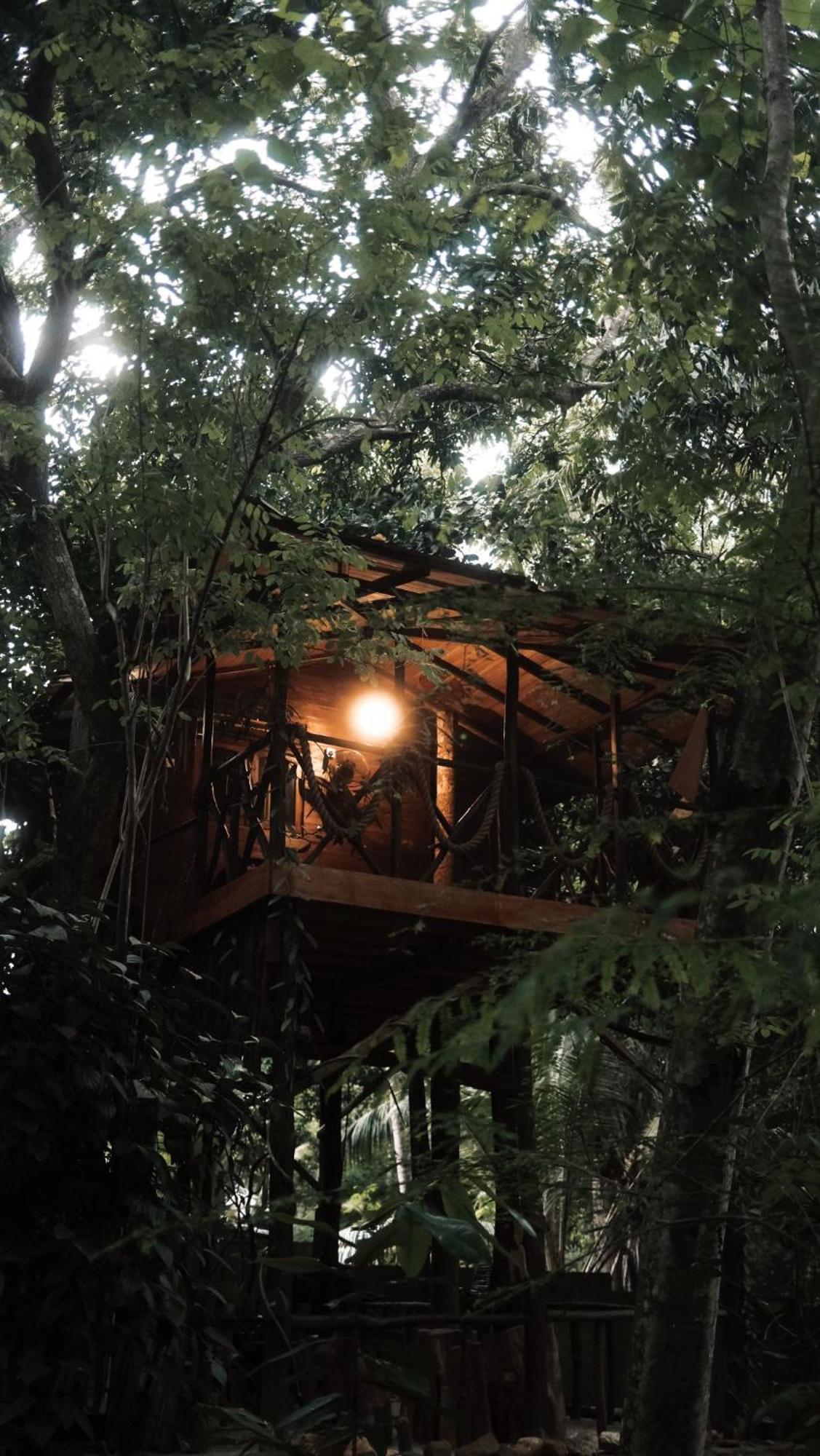 Green Park Safari House & Eco Tree House 达瓦拉维 外观 照片