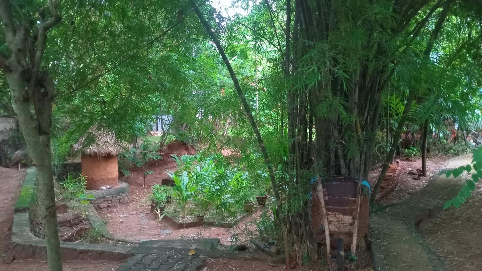 Green Park Safari House & Eco Tree House 达瓦拉维 外观 照片
