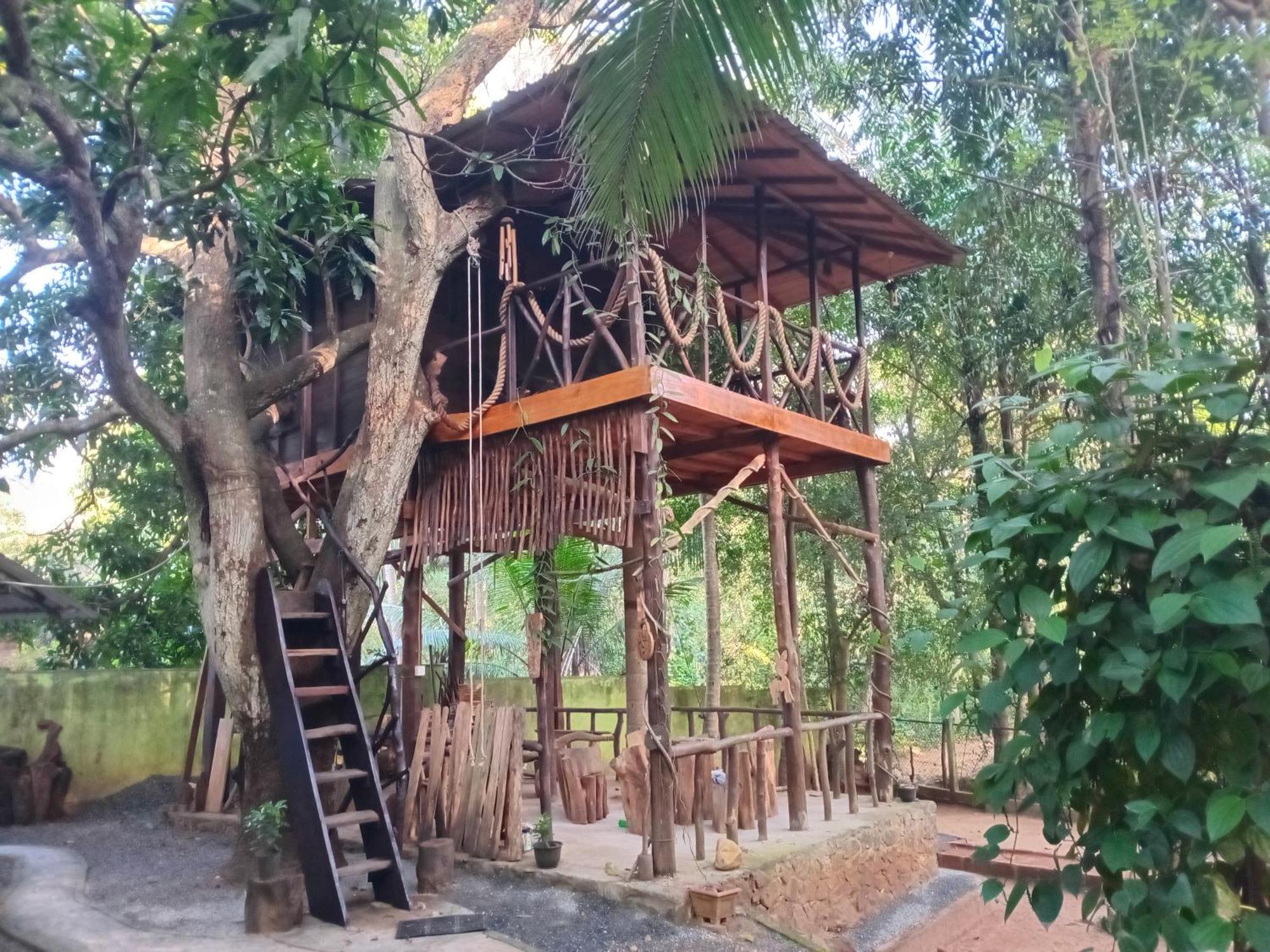 Green Park Safari House & Eco Tree House 达瓦拉维 外观 照片
