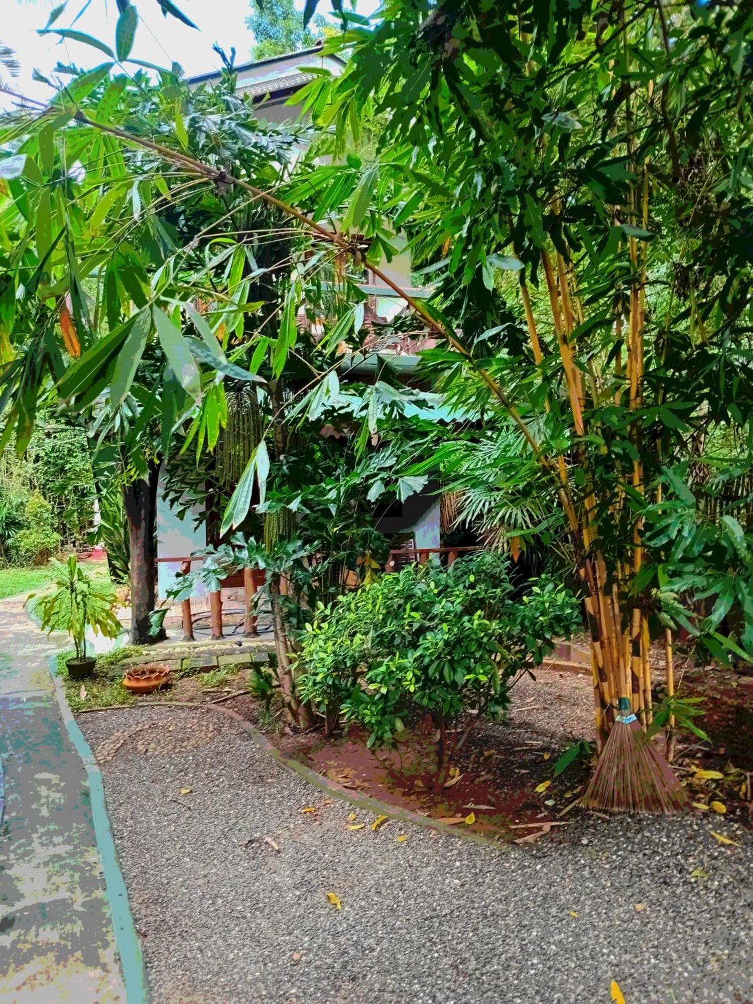 Green Park Safari House & Eco Tree House 达瓦拉维 外观 照片