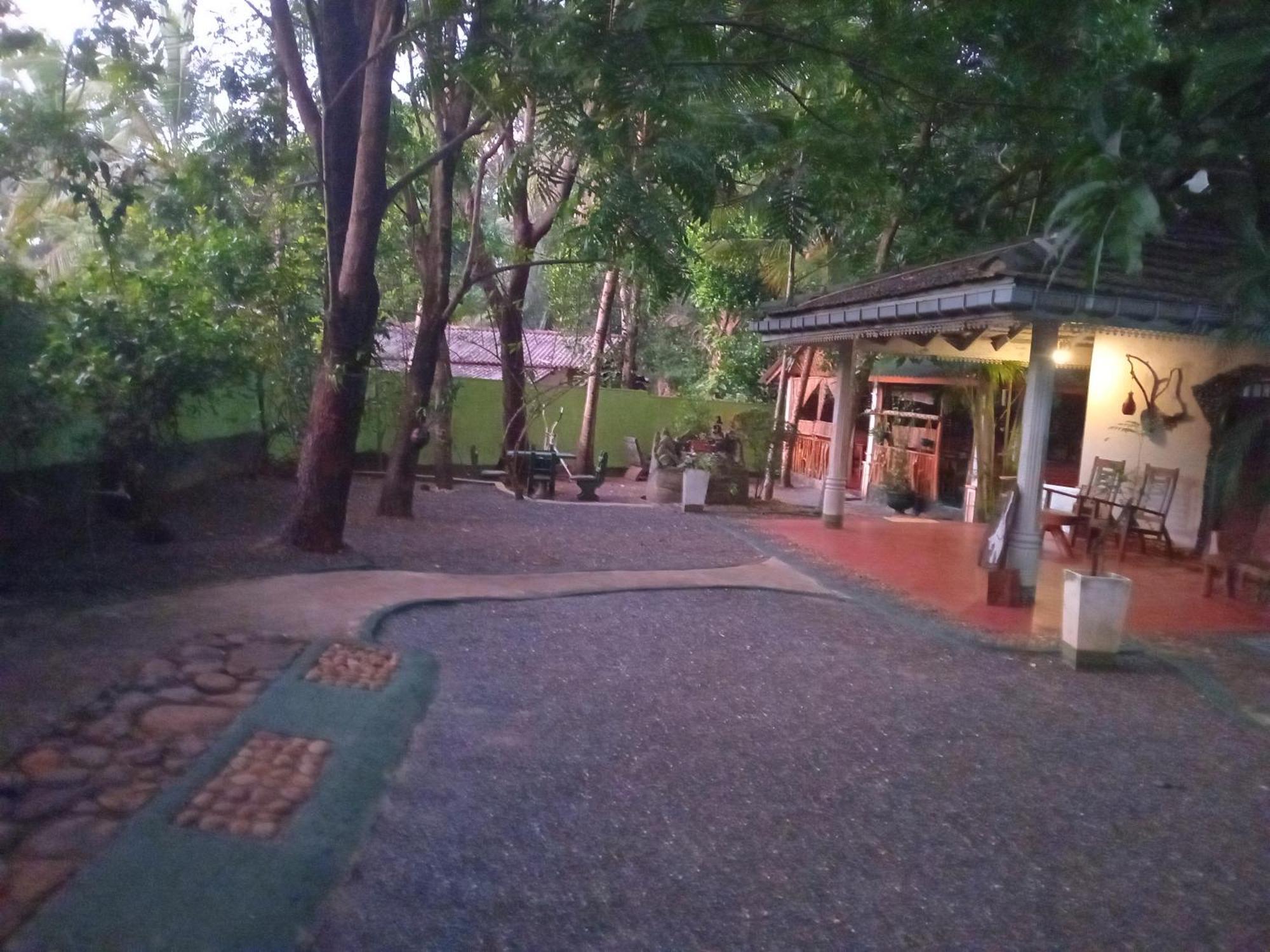 Green Park Safari House & Eco Tree House 达瓦拉维 外观 照片