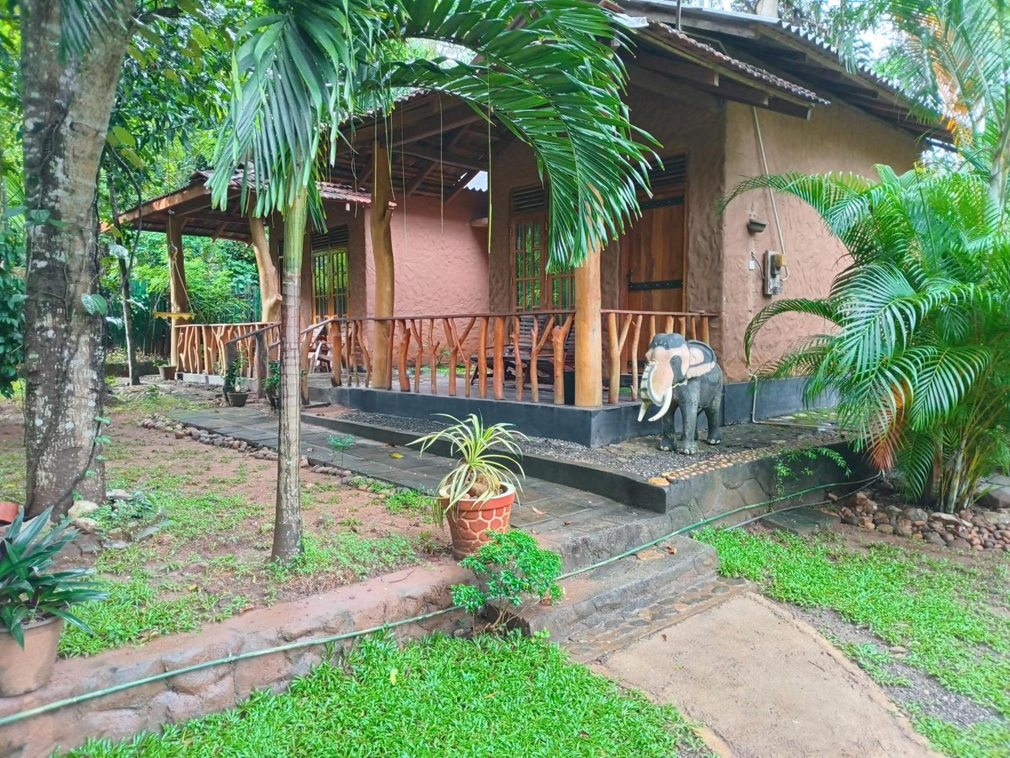 Green Park Safari House & Eco Tree House 达瓦拉维 外观 照片