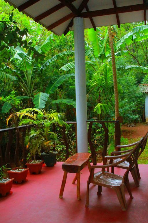 Green Park Safari House & Eco Tree House 达瓦拉维 外观 照片