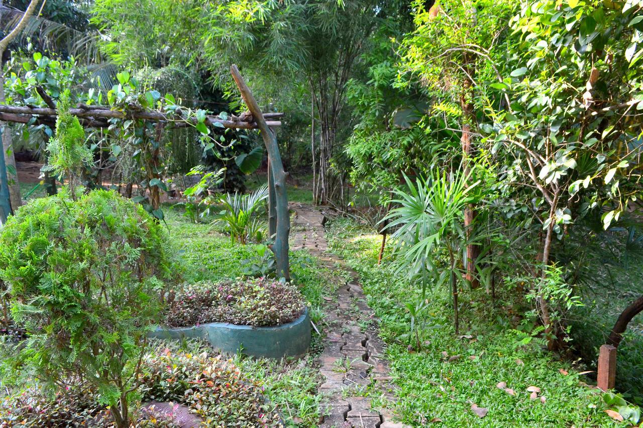 Green Park Safari House & Eco Tree House 达瓦拉维 外观 照片