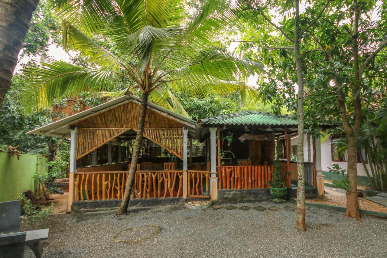 Green Park Safari House & Eco Tree House 达瓦拉维 外观 照片