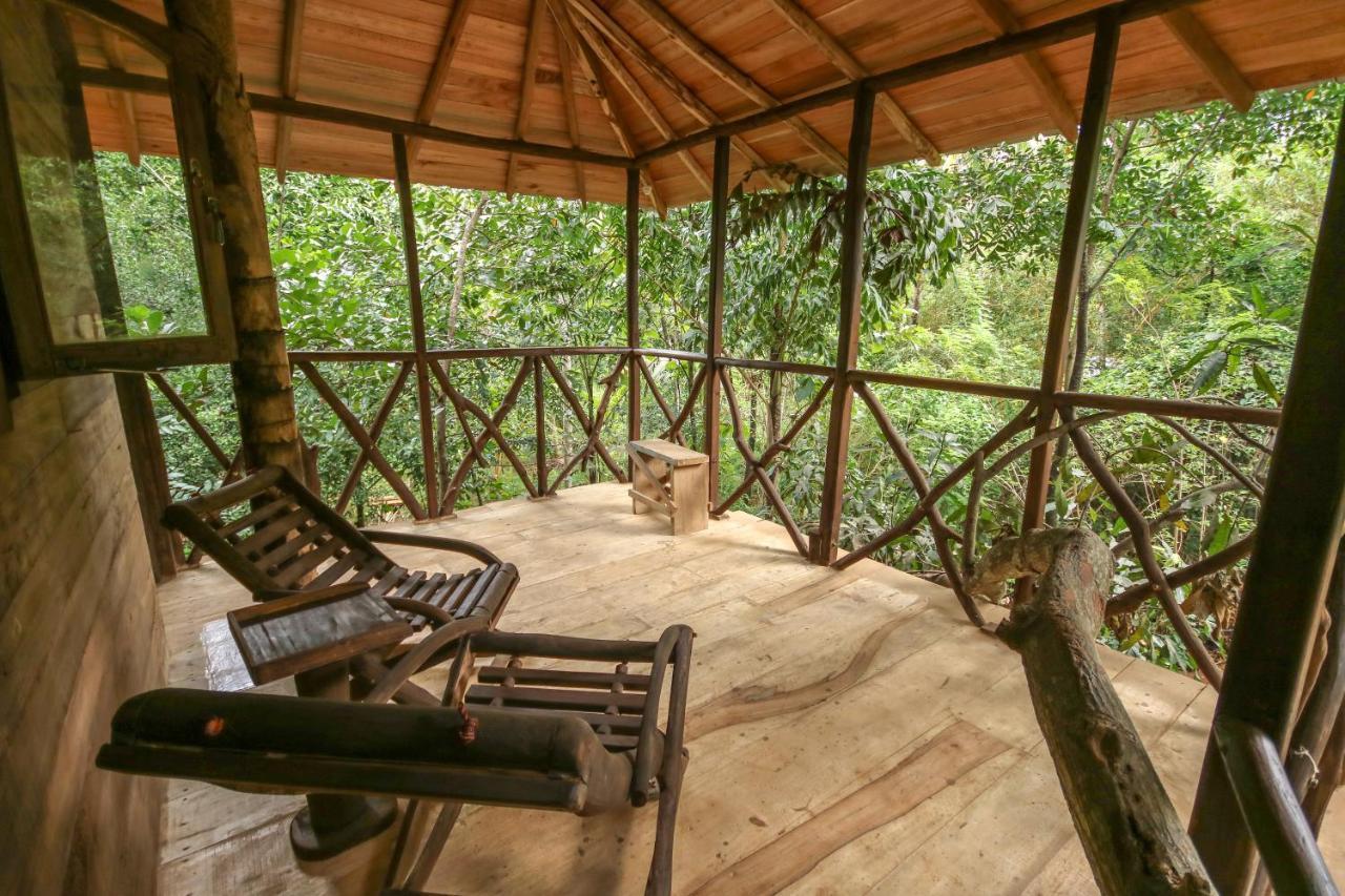 Green Park Safari House & Eco Tree House 达瓦拉维 外观 照片