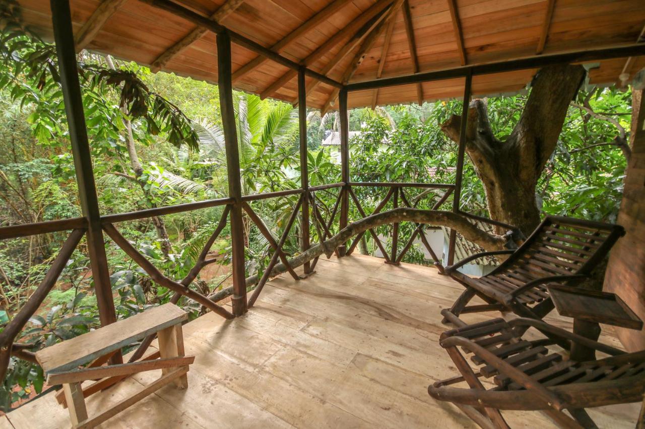 Green Park Safari House & Eco Tree House 达瓦拉维 外观 照片