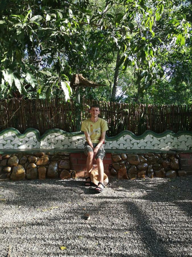 Green Park Safari House & Eco Tree House 达瓦拉维 外观 照片