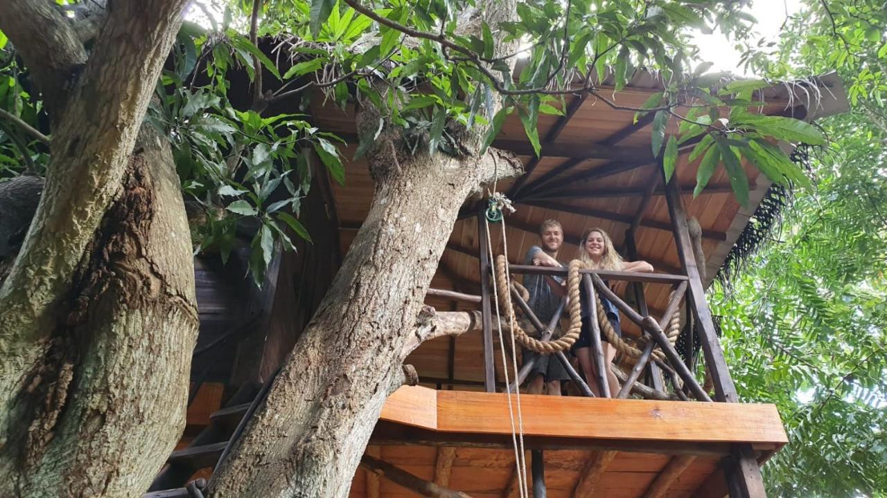 Green Park Safari House & Eco Tree House 达瓦拉维 外观 照片
