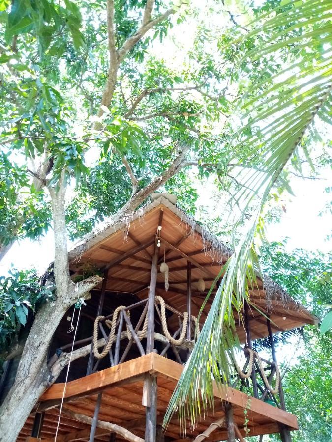 Green Park Safari House & Eco Tree House 达瓦拉维 外观 照片