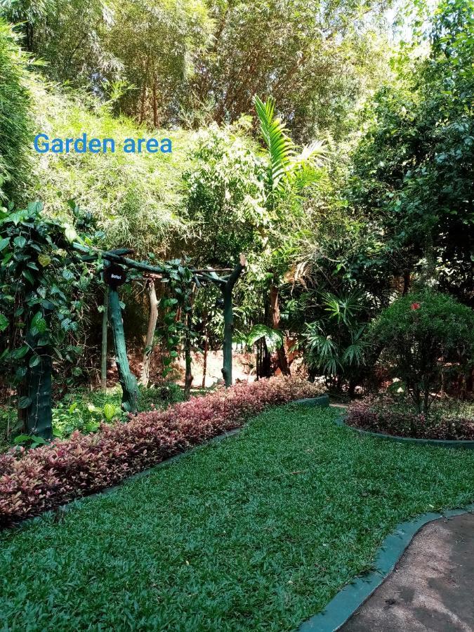 Green Park Safari House & Eco Tree House 达瓦拉维 外观 照片