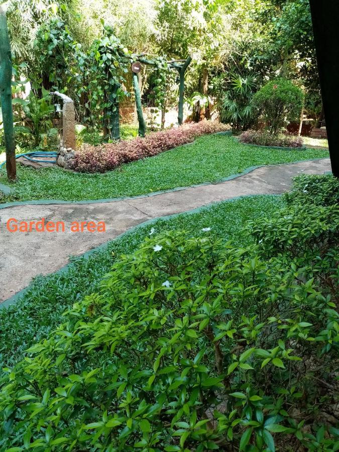 Green Park Safari House & Eco Tree House 达瓦拉维 外观 照片