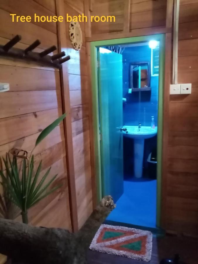 Green Park Safari House & Eco Tree House 达瓦拉维 外观 照片